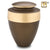 A411  Eternity Auburn, Adult