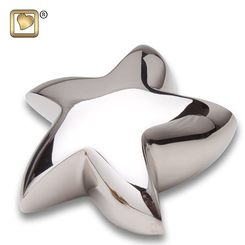 Bright Silver Star