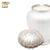 K641  Shell Pearl, Keepsake