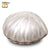 K641  Shell Pearl, Keepsake