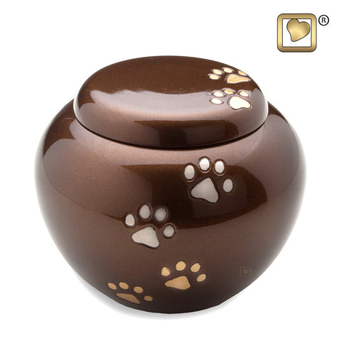 Bronze Cuddle, Medium